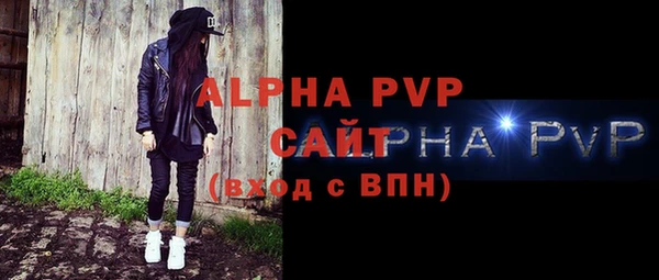 прущие грибы Богданович