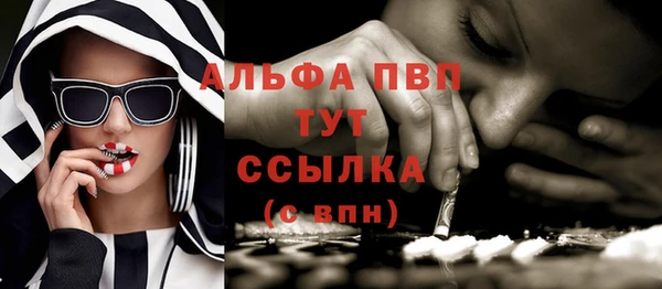 прущие грибы Богданович