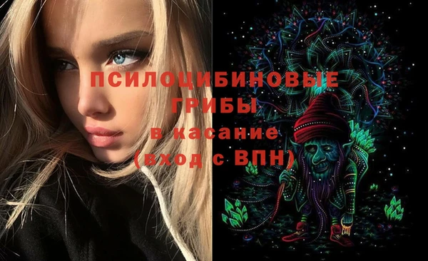 прущие грибы Богданович