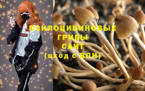 амфетамин Богородицк