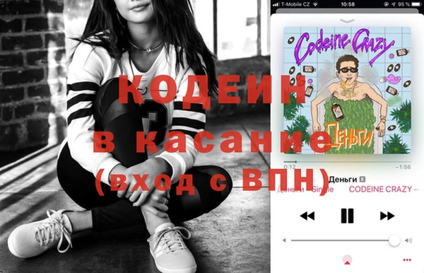 прущие грибы Богданович