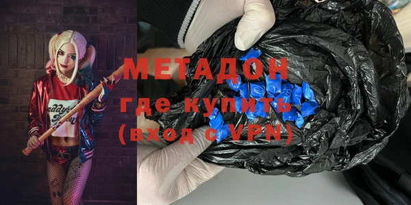 прущие грибы Богданович