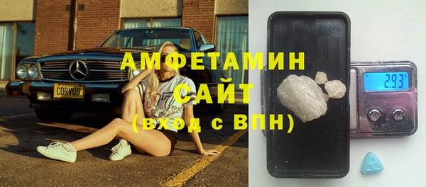 прущие грибы Богданович