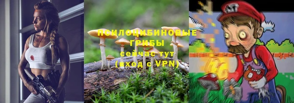 прущие грибы Богданович